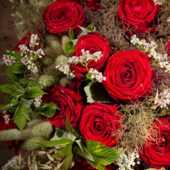 Bouquet de roses rouge - Chloris