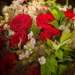 Les roses rouges de Chloris