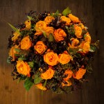 Les roses orange d'Athena