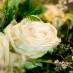 Les roses blanches d'Héméra