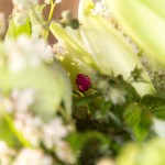 Bouquet de lys blancs - Héracles