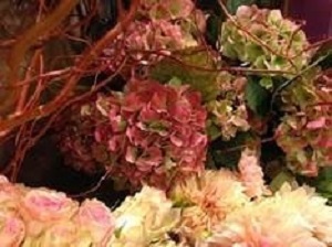 Bouquet de fleurs - hortensia d'automne