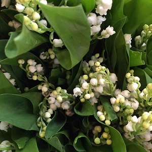 Bouquet de fleurs - muguet