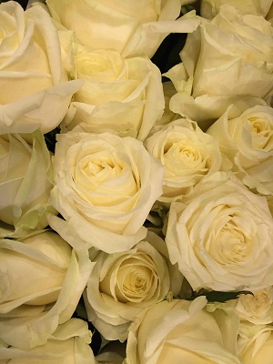 Bouquet de fleurs - rose blanche