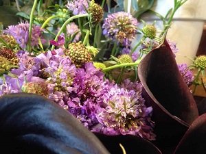 Bouquet de fleurs - scabieuse